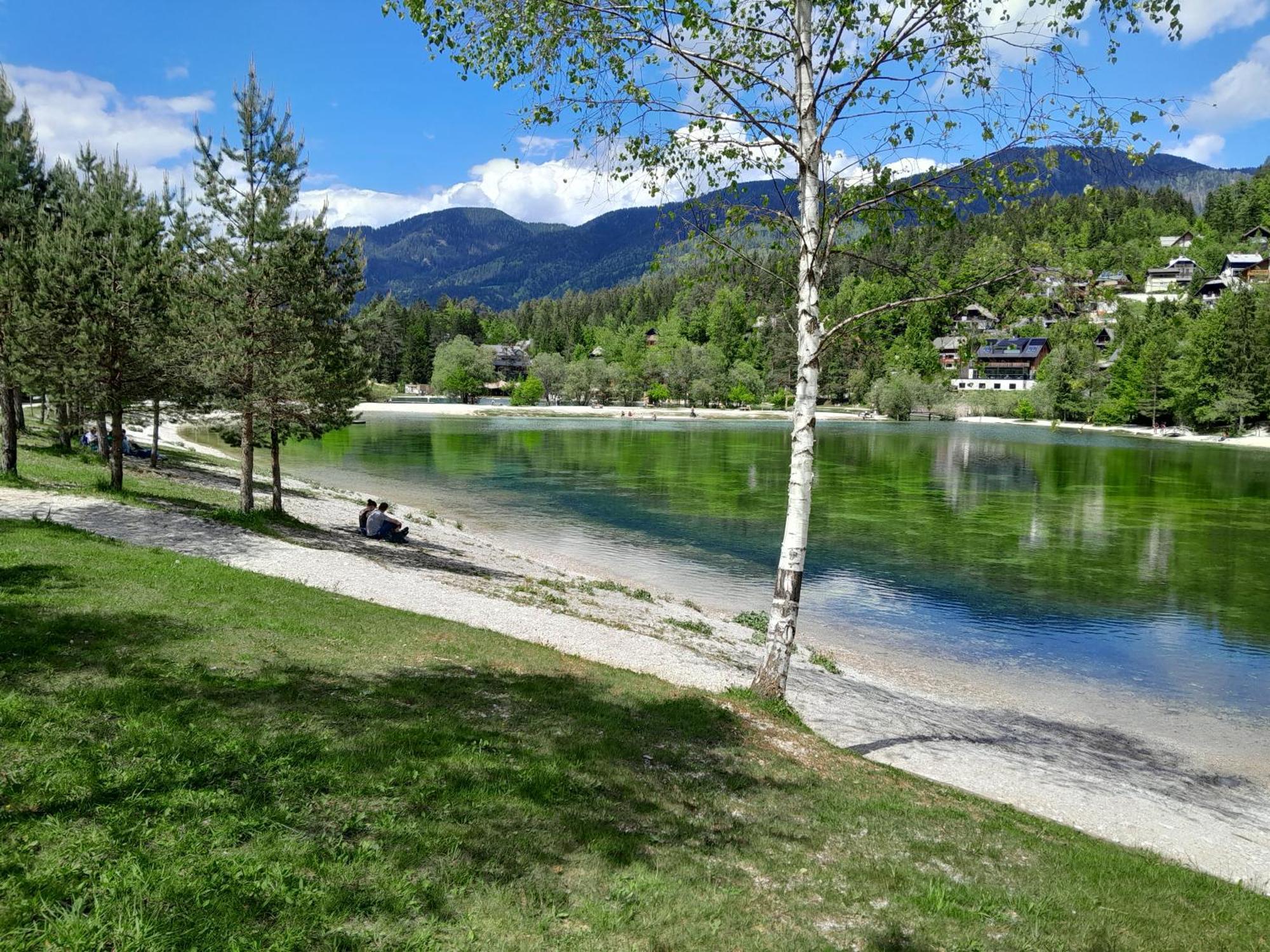Les Chalet Kranjska Gora I المظهر الخارجي الصورة